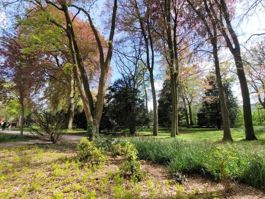 Mit Blick In Den Emsseepark Warendorf Luaran gambar